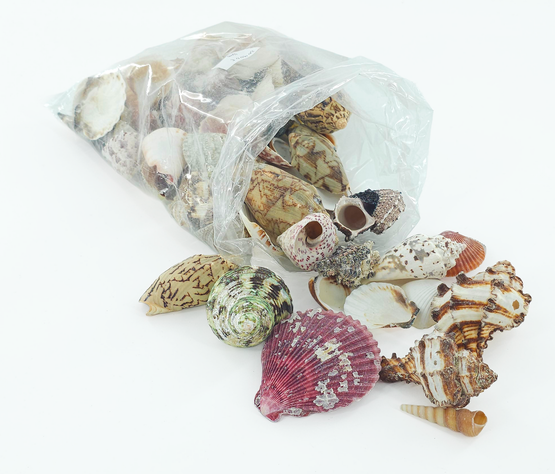 Shellmix Coarse